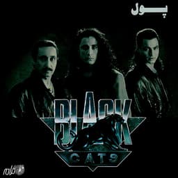 Pool · Black Cats