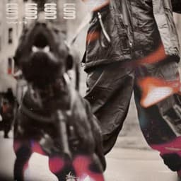 Ssss · Wn