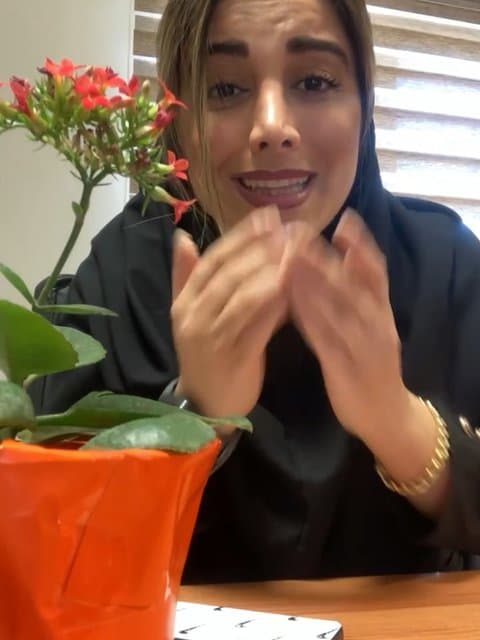 Ravy · Hayedeh