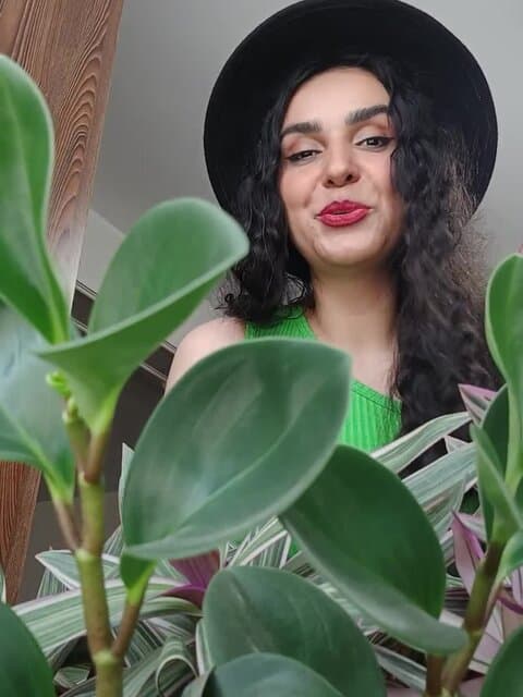 Aroom Aroom (Ft Mehdi Jahani) · Alishmas