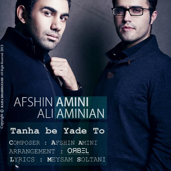 Tanha Be Yade To · Afshin Amini & Ali Aminian