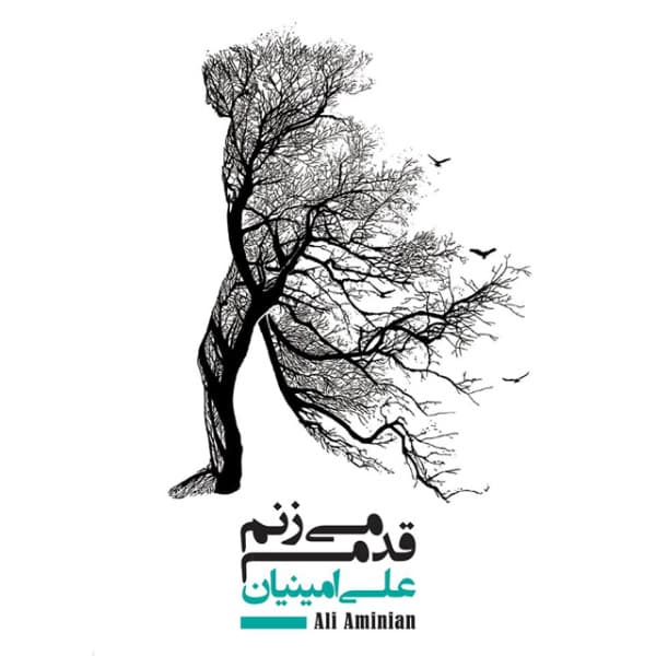 Ghadam Mizanam · Ali Aminian