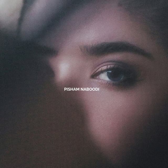 Pisham Naboodi (Ft Shadmehr NY) · Ali T