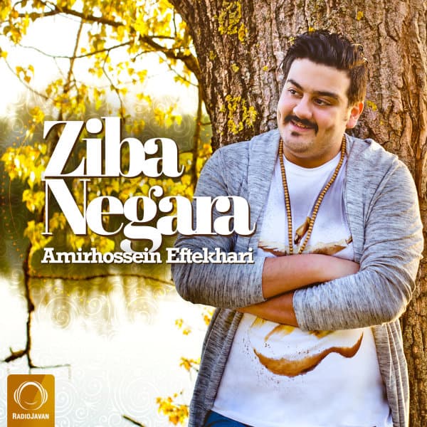 Ziba Negara · Amirhossein Eftekhari
