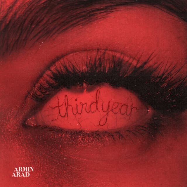 Third Year · Armin Arad