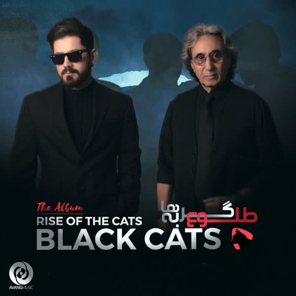 Saraab · Black Cats