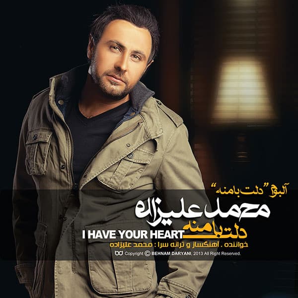 Del Bi To Gham Zade · Mohammad Alizadeh