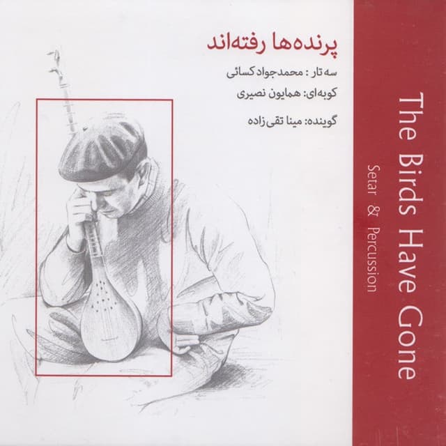 Dancing with a Gipsy · Mohammad Javad Kasaei & Homayoun Nasiri