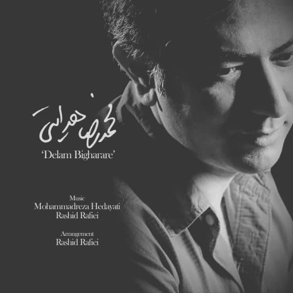 Delam Bigharare · Mohammadreza Hedayati