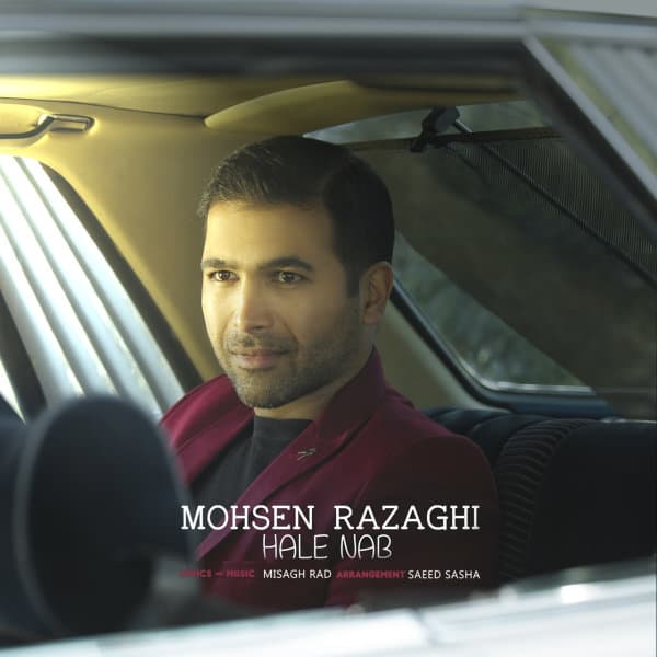 Hale Nab · Mohsen Razaghi