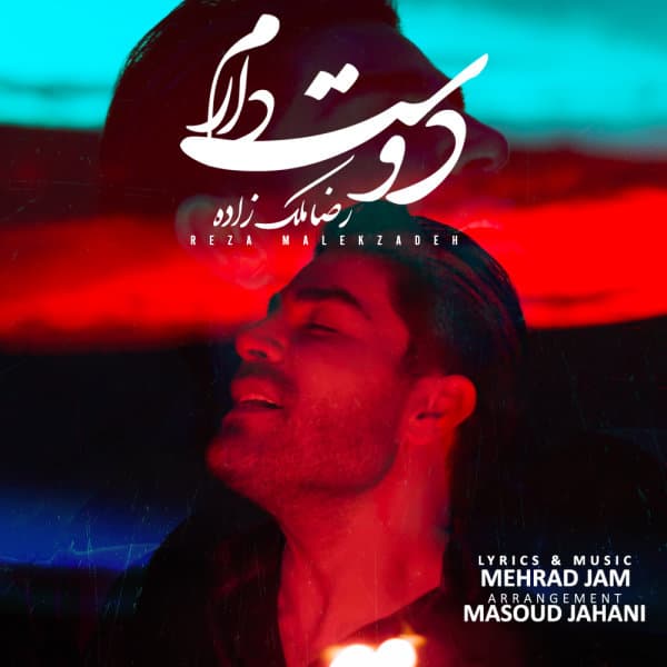 Dooset Daram · Reza Malekzadeh