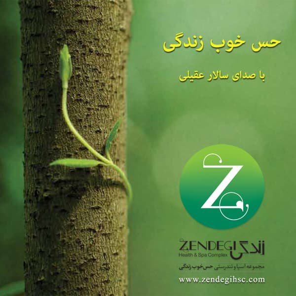 Hesse Khoobe Zendegi · Salar Aghili