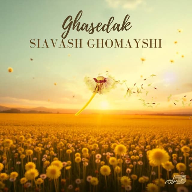 Ghasedak · Siavash Ghomayshi