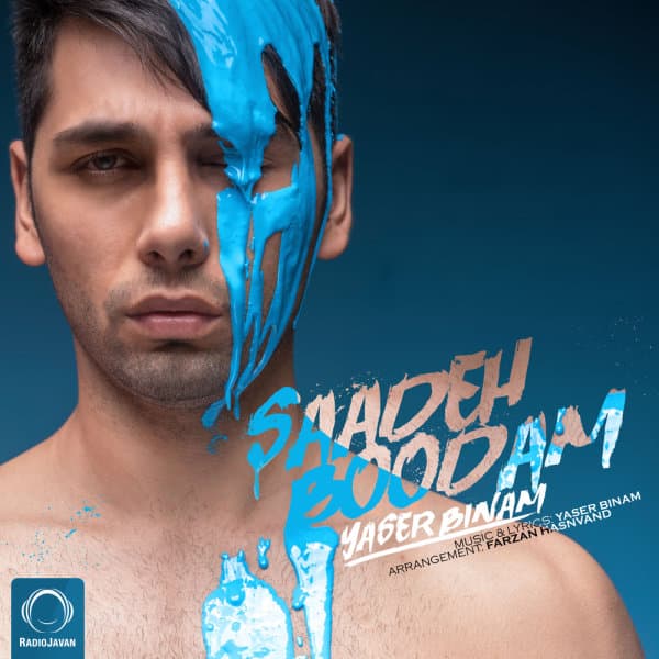Saadeh Boodam · Yaser Binam